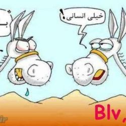 جوک با حیوانات 🐶🐱