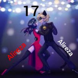 Ladybug & Cat noir 17