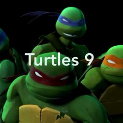 Turtles 9