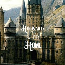 میتونی وارد هاگواترز بشی یا نه؟میزارن وارد هاگواترز شی؟