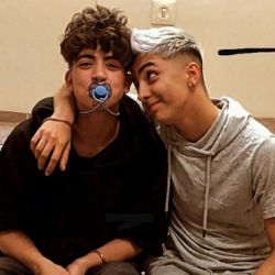 چقدر شبیح شکیب هستی