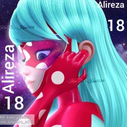 Ladybug & Cat noir 18