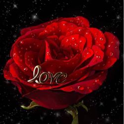 عکس هری پاتر و دنیا ی جدید شک کردن به عشق پارت دوم