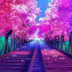 عکس هری پاتر و دنیا ی جدید۶