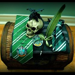 جام جهانی کوییدیچ ( قسمت تابستانه )