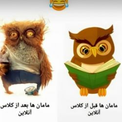 جک های با مزه و بی مزه