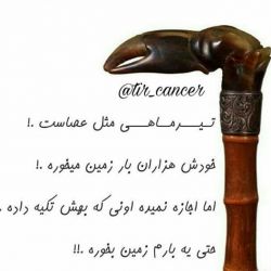 تيرماهي♥️