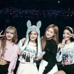 عکس چقدر بلک پینک و میشناسی