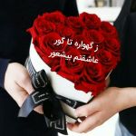 کاور