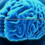 ذهن چه رنگی ؟