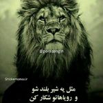 شیر 🦁