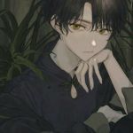 جنگل ممنوعه