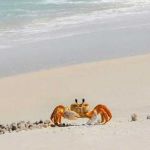 دختر گمشده👸