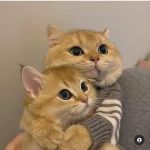 عکس خاطرات من پارت هفت