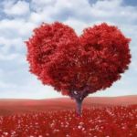 حقیقت های جالب