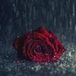 عکس یکی بود یکی نبود ۸