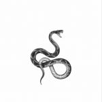 درباره مار ها اطلاعات داری؟🐍