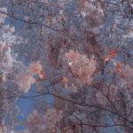 عکس چه طور آسمونی هستی؟