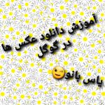 چطوری عکس ها رو دانلود کنیم