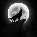 عکس کدوم شاخ اینستاگرام هستی(مخصوص پسرا)