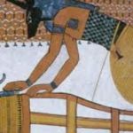 کاور