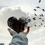 جنس قلبت از چیه؟