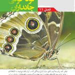چقدر درس 11 علوم کلاس نهم را بلدی؟