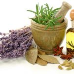 چند گیاه و نوشیدنی که باعث آرامش اعصاب میشود