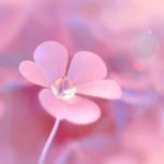 معنی استیکر های قلب