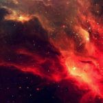 حقایقی درباره انسان