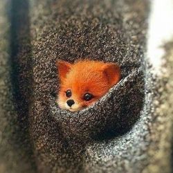 حرف دلم میخوام بگم