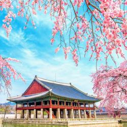 حقیقت هایی درباره کره جنوبی part1