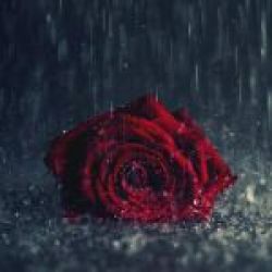 عکس یکی بود یکی نبود ۹