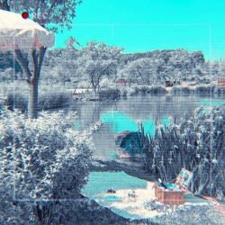 عکس کمپانی جی وای پی