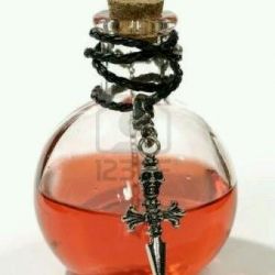 شکارچیان ارواح ۱۴:کتاب آینده