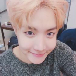 فکت از جیهوپ + - +