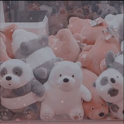 پیشنهادات جدید برای تستچی و نکته های ضروری