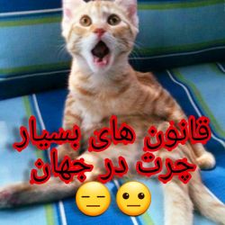 قانون های بسیار چرت در جهان😐😑
