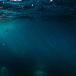 تالاسوفوبیا