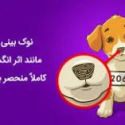 حقیقت هایی که نمی دونیم ....