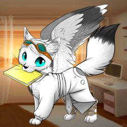 زبان چقدر بلدی؟😄