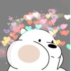 عجیب ترین قانون ها