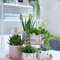 معرفی چند داستان خیلی خوب در تستچی2