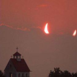 تئوری زندگی دوباره