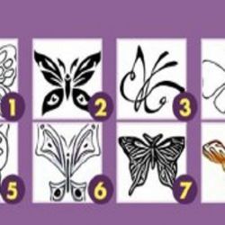 شخصیت شناسی از روی پروانه مورد علاقه