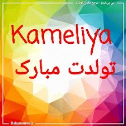 💖تولدت مبارک کاملیا جون💖