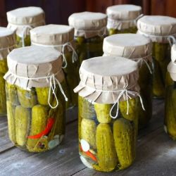 آموزش درست کردن خیارشور خانگی