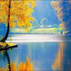 آرامش طبیعت