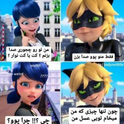 ❤🐞 طنز میراکلسی 🐾🖤