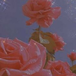 قوانین کمپانی بیگ هیت💜☁️